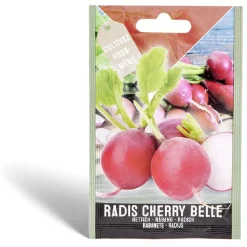 Semence radis 18 jours 2g < Gifi Online
