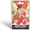 Semence tomate cerise 0,25g < Gifi Clearance