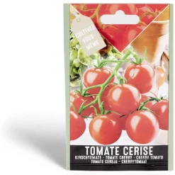 Semence tomate cerise 0,25g < Gifi Clearance
