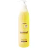 Shampooing kératine Byphasse sublim'protect 520 ml cheveux secs < Gifi Online