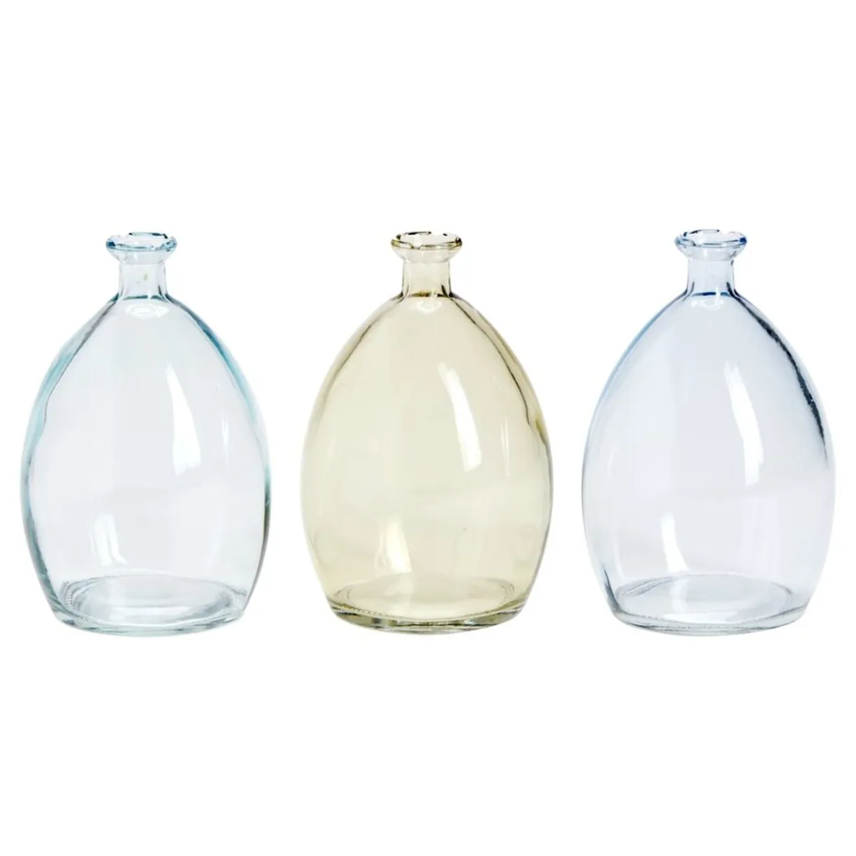 Soliflore Dame Jeanne x3 en verre Ø8xH12cm < Gifi New