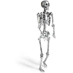 Squelette articulé Halloween H150cm plastique argenté < Gifi Best