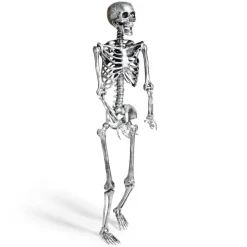 Squelette articulé Halloween H150cm plastique argenté < Gifi Best
