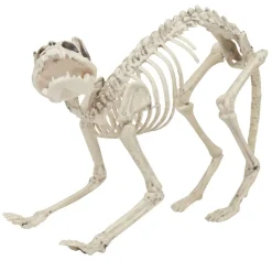 Squelette chat Halloween