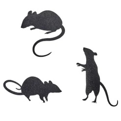 Sticker mural araignée ou rat x9 < Gifi Clearance