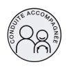 Sticker voiture conduite accompagnée