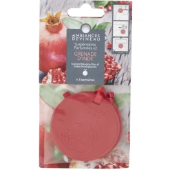 Suspension parfumée x2 Ambiances Devineau senteur grenade d'Inde < Gifi Best