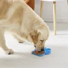 Tapis de léchage pour animaux forme patte de chien silicone bleu 18x18cm