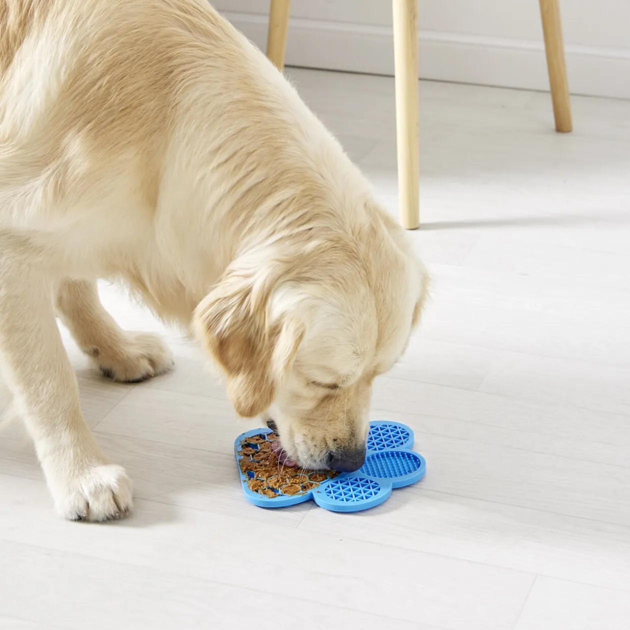 Tapis de léchage pour animaux forme patte de chien silicone bleu 18x18cm