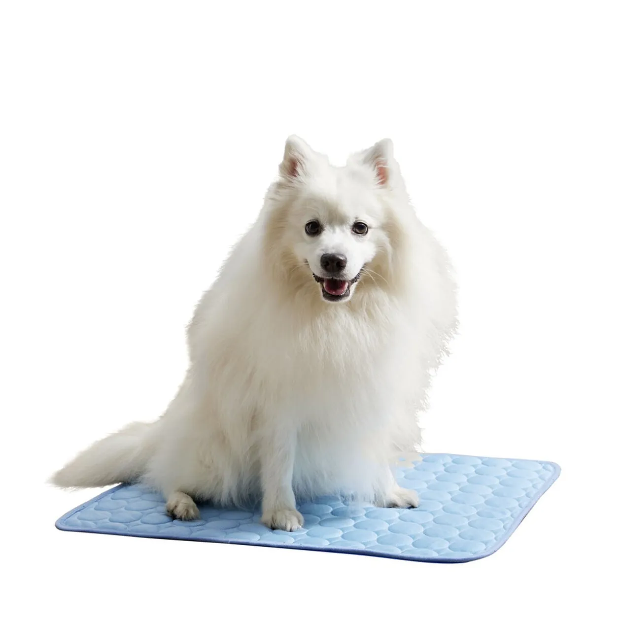 Tapis rafraîchissant pour chien 45x60cm