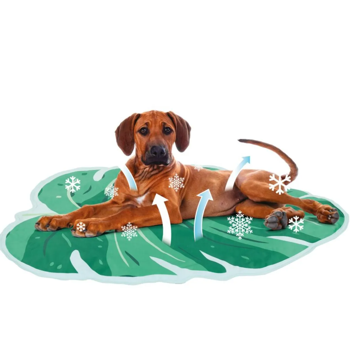 Tapis rafraichissant PVC vert pour chiens et chat 80x60cm < Gifi Clearance