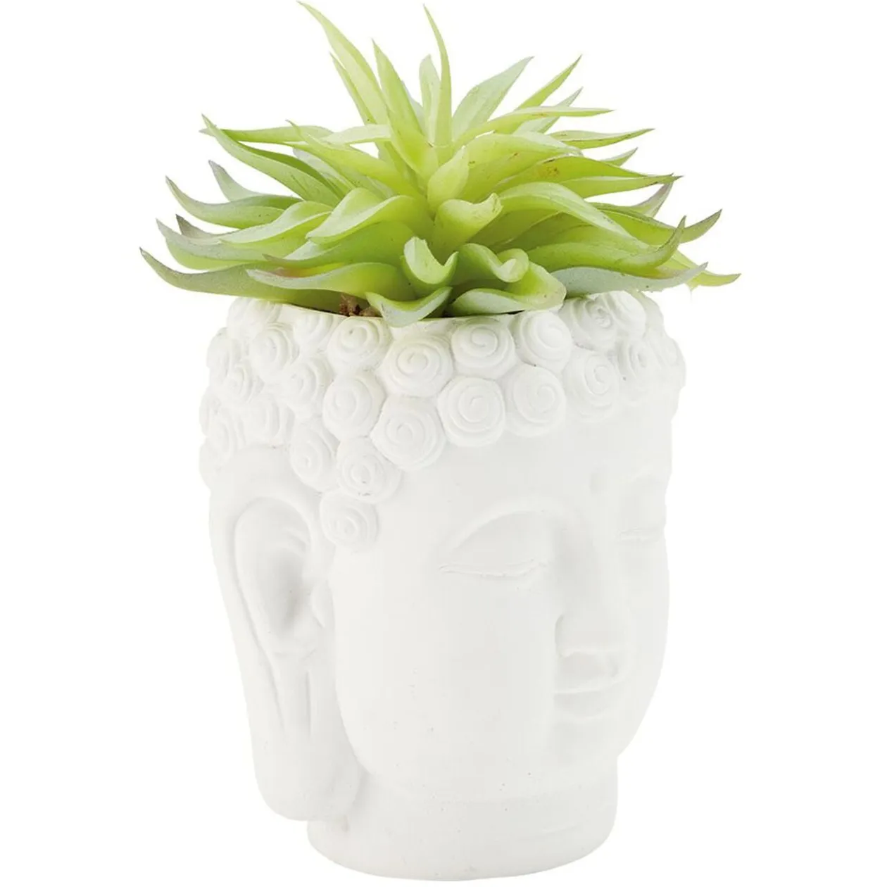 Tête Bouddha avec plante