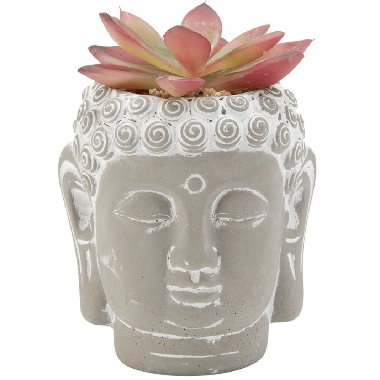 Tête Bouddha avec plante