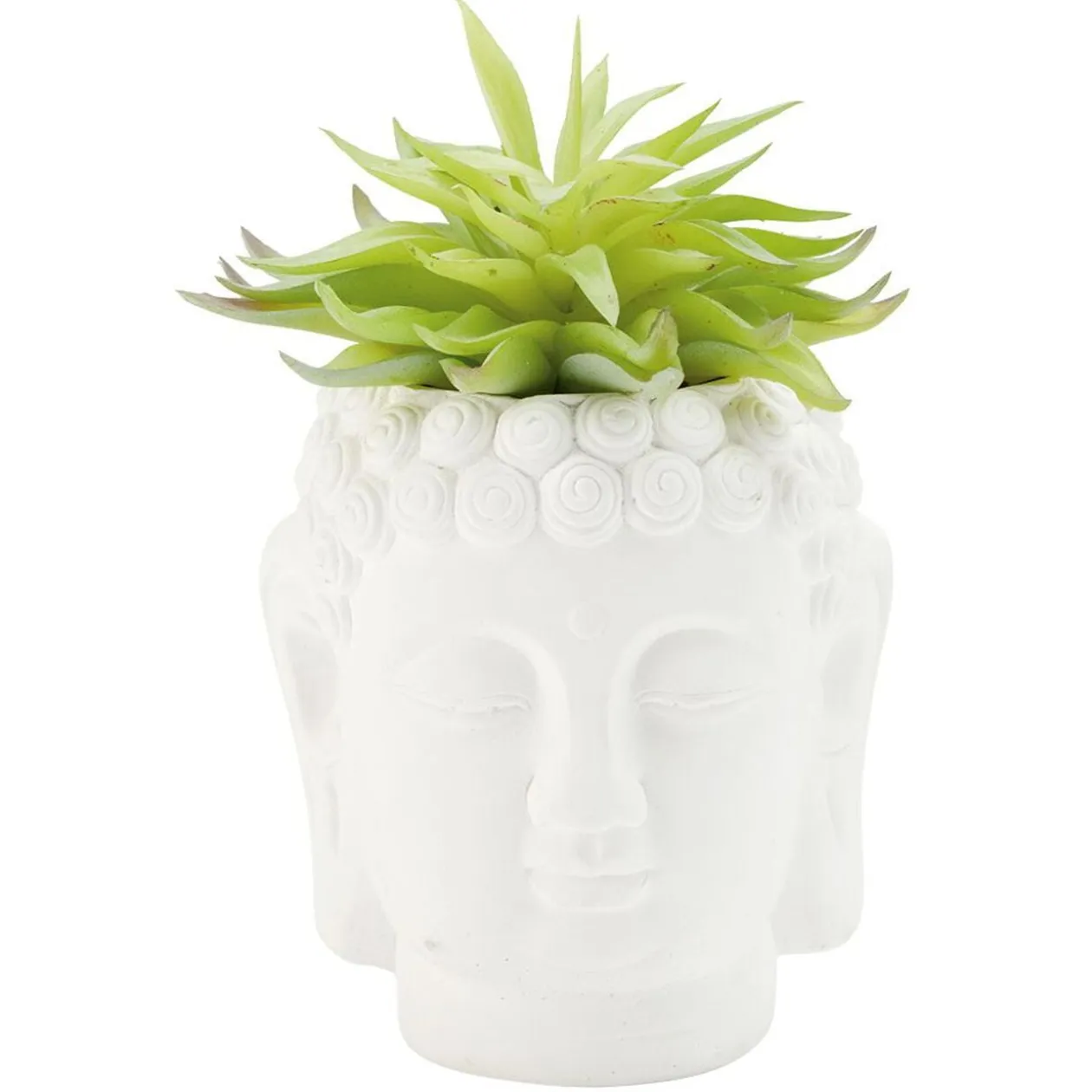 Tête Bouddha avec plante