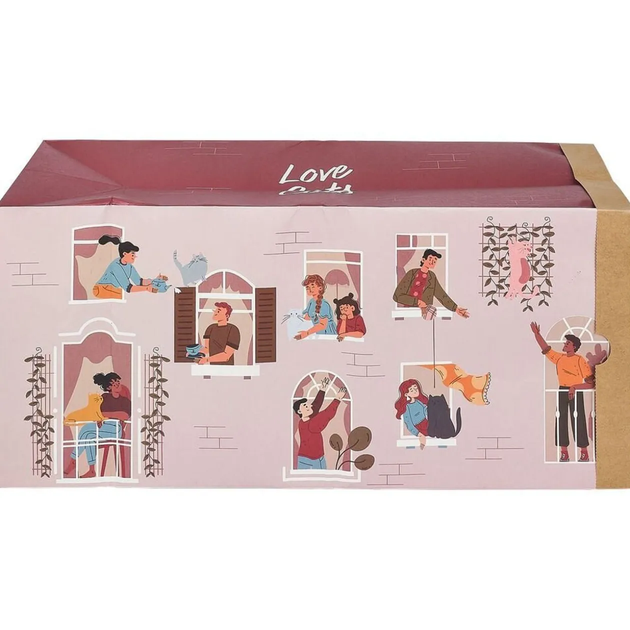 Tunnel de jeu pour chat carton motif maison 60x27xH22cm