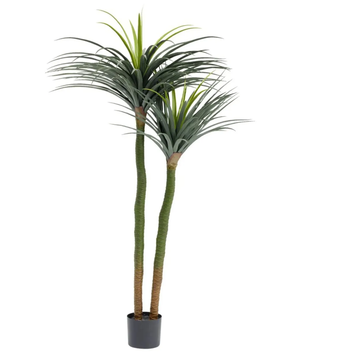 Yucca artificiel H170cm < Gifi Discount